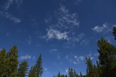 DSC_4292 (Large).JPG